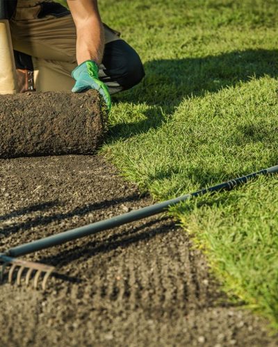 se2-p8g0gq4tgmve5g4fffskr6btfjezq8q4q39qnef96o